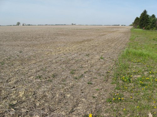 Property photo 20 - 172 Acres Offered in 3 Tracts - Prime Farmland
